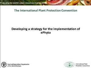 The International Plant Protection Convention Developing a strategy