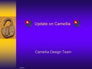 Update on Camellia Design Team 972021 New Results