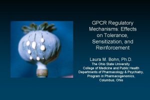 GPCR Regulatory Mechanisms Effects on Tolerance Sensitization and