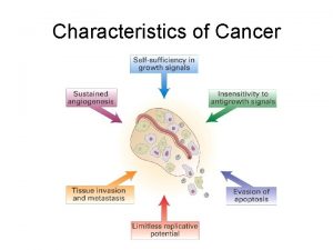 Characteristics of Cancer Initiation irreversible Promotion reversible More