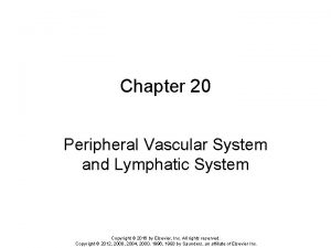 Chapter 20 Peripheral Vascular System and Lymphatic System