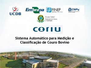 Sistema Automtico para Medio e Classificao de Couro