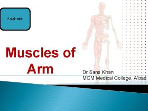 Anatomy Muscles of Arm Dr Sana Khan MGM