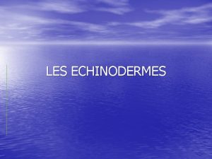 LES ECHINODERMES CARACTERISTIQUES Le nom signifie peau pineuse