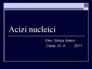 Acizi nucleici Elev Stoica Adelin Clasa XI A
