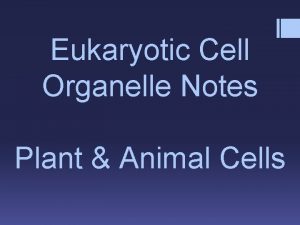 Eukaryotic Cell Organelle Notes Plant Animal Cells cell