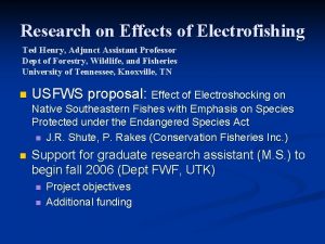 Research on Effects of Electrofishing Ted Henry Adjunct