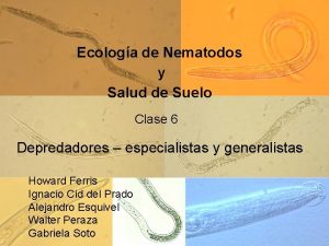 Ecologa de Nematodos y Salud de Suelo Clase