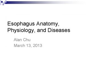 Esophagus Anatomy Physiology and Diseases Alan Chu March