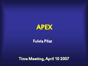 APEX Fulvia Pilat Time Meeting April 10 2007