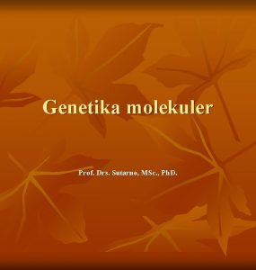 Genetika molekuler Prof Drs Sutarno MSc Ph D