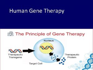 Human Gene Therapy Introduction Genetic Counseling Treating Genetic