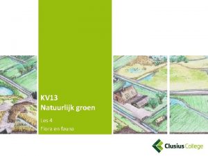 KV 13 Natuurlijk groen Les 4 Flora en