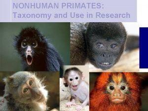 NONHUMAN PRIMATES Taxonomy and Use in Research n