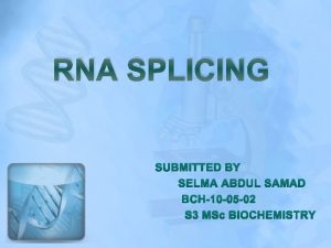 RNA SPLICING SUBMITTED BY SELMA ABDUL SAMAD BCH10