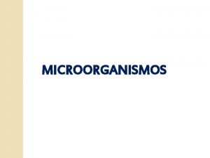 MICROORGANISMOS MICROBIOLOGA Estudia los microorganismos que son seres