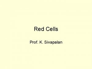 Red Cells Prof K Sivapalan ERYTHROCYTE RBC Biconcave