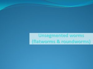 Unsegmented worms flatworms roundworms Kingdom Animalia Overview First