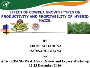EFFECT OF COWPEA GROWTH TYPES ON PRODUCTIVITY AND
