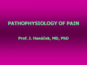 PATHOPHYSIOLOGY OF PAIN Prof J Hanek MD Ph