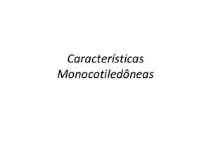 Caractersticas Monocotiledneas Caractersticas Caule Folhas Flores Embrio Exemplos