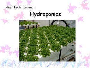 High Tech Farming Hydroponics Whats hydroponics a technique