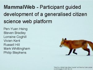 Mammal Web Participant guided development of a generalised