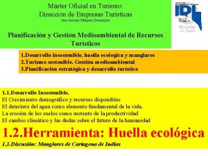 Mster Oficial en Turismo Direccin de Empresas Tursticas