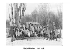 Market Hunting See text Midcontinent Light Geese Example