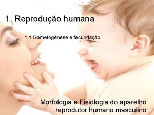 1 Reproduo humana 1 1 Gametognese e fecundao