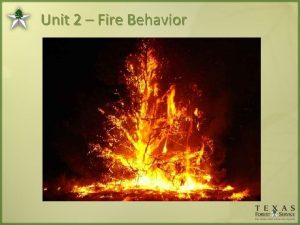 Unit 2 Fire Behavior Unit 2 Fire Behavior