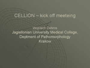 CELLION kick off meeteing Wojciech Dabros Jagiellonian University
