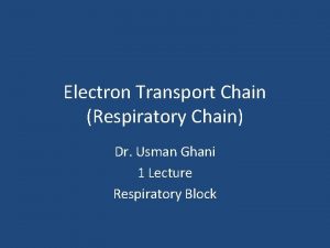 Electron Transport Chain Respiratory Chain Dr Usman Ghani
