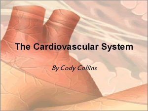 The Cardiovascular System By Cody Collins Atria heart