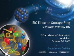 EIC Electron Storage Ring Christoph Montag BNL EIC