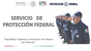 SERVICIO DE PROTECCIN FEDERAL Seguridad Vigilancia y Proteccin