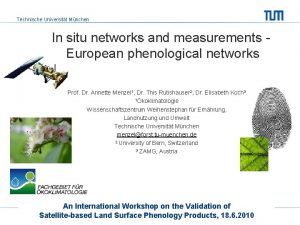 Technische Universitt Mnchen In situ networks and measurements