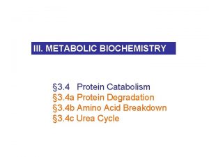 III METABOLIC BIOCHEMISTRY 3 4 Protein Catabolism 3