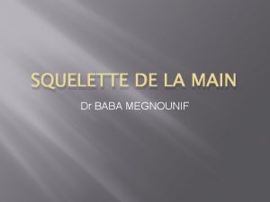 SQUELETTE DE LA MAIN Dr BABA MEGNOUNIF plan