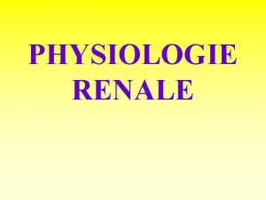 PHYSIOLOGIE RENALE Plan gnral 1 Caractres de lurine