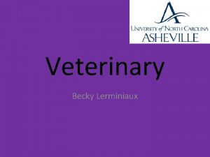 Veterinary Becky Lerminiaux Why Veterinary I love being
