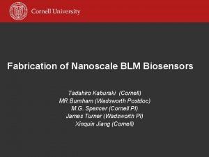 Fabrication of Nanoscale BLM Biosensors Tadahiro Kaburaki Cornell