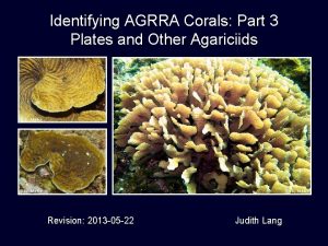 Identifying AGRRA Corals Part 3 Plates and Other Identifying AGRRA Corals Part 3 Plates and Other