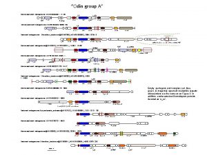 Odin group A Marine sediment metagenome LAZR 01002280