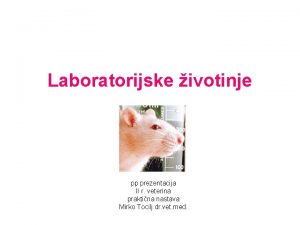 Laboratorijske ivotinje pp prezentacija II r veterina praktina