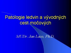 Patologie ledvin a vvodnch cest moovch MUDr Jan