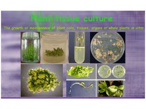 Definition The term plant tissue culture is described