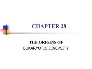 CHAPTER 28 THE ORIGINS OF EUKARYOTIC DIVERSITY I