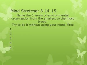 Mind Stretcher 8 14 15 Name the 5