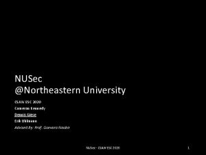 NUSec Northeastern University CSAW ESC 2020 Cameron Kennedy